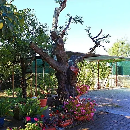 In Vrvari With Two-bedrooms 1 شقة بوريتش