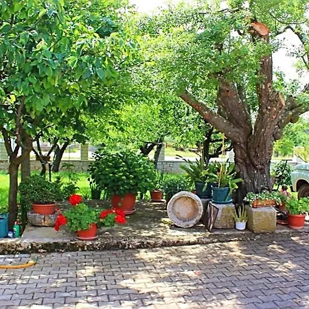 Appartamento In Vrvari With Two-bedrooms 1
